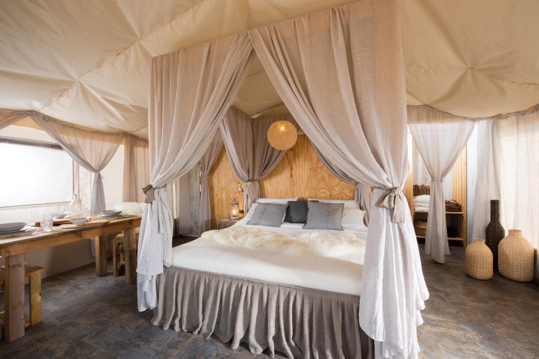 5bis.TrendSuite Nuovisogni Crippaconcept